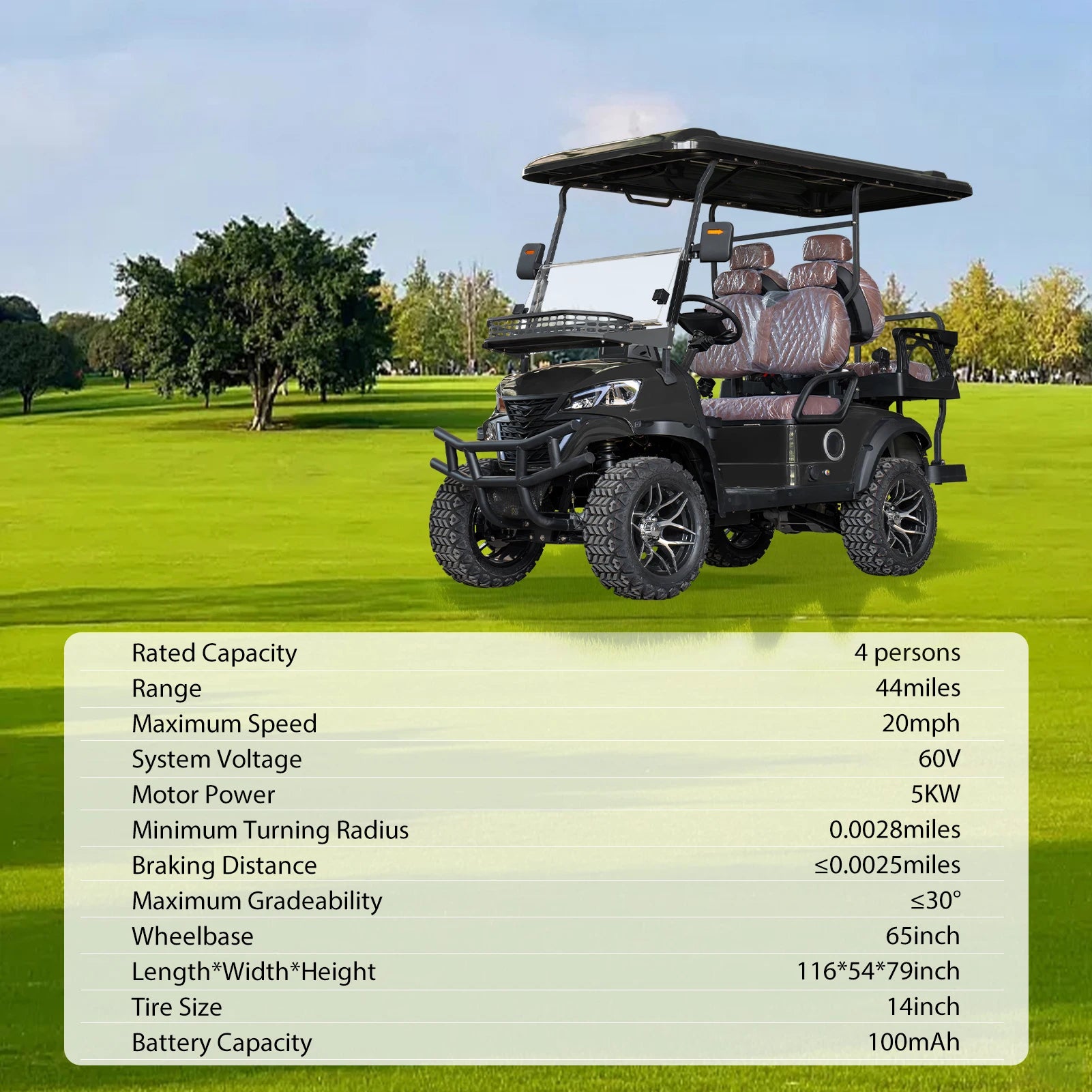 4P 60V Electric Golf Cart with 5KW Motor 25 MPH Top Speed 44 Miles Range Advanced Suspension, RearFront Storage Free Shipping